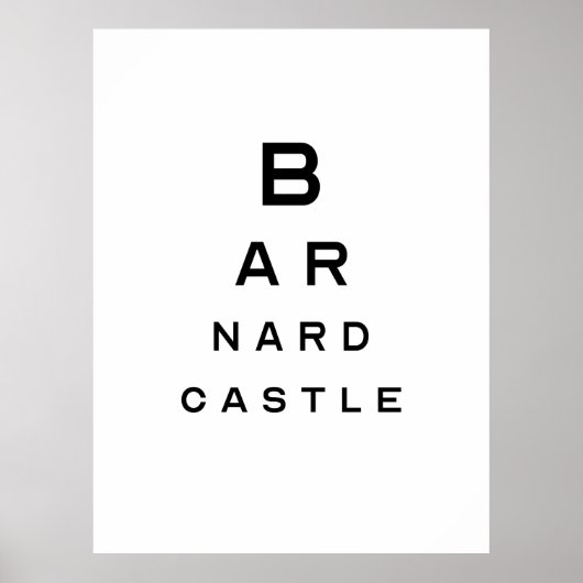Schloss Barnard Augustift Poster (Vorne)