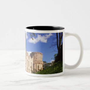 Schloss Cesis in Lettland. Zweifarbige Tasse