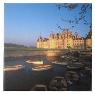 Schloss Chambord, Loiretal, Loir-et-Cher, Fliese
