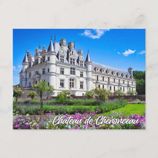 Schloss Chenonceau, Frankreich Postkarte (Vorderseite)