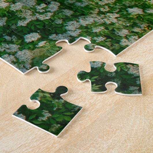 Schloss Frankenstein Deutschland. Puzzle (Seite)