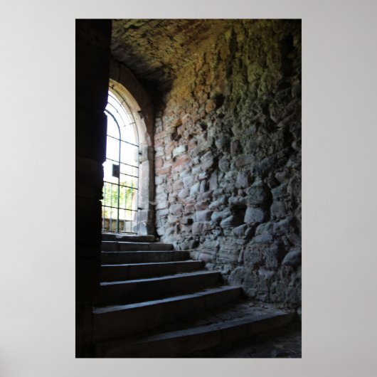 Schloss Heidelberg Poster (Vorne)