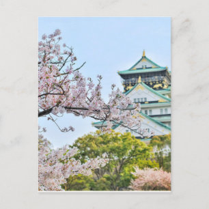 Schloss Himeji mit Kirschblüten Postkarte