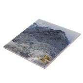 Schloss Hohenschwangau Fliese (Seite)