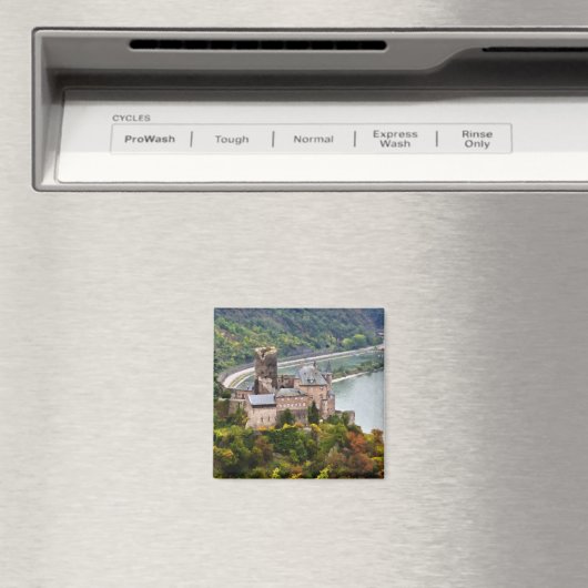 Schloss Magnet (In Situ (Geschirrspüler))