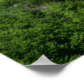 Schloss Neuchwanstein Bayern Poster (Ecke)