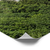 Schloss Neuschwanstein Deutschland Poster (Ecke)