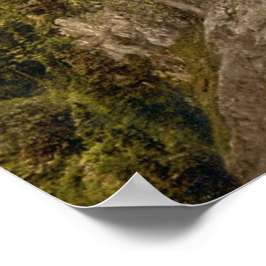 Schloss Neuschwanstein Poster (Ecke)