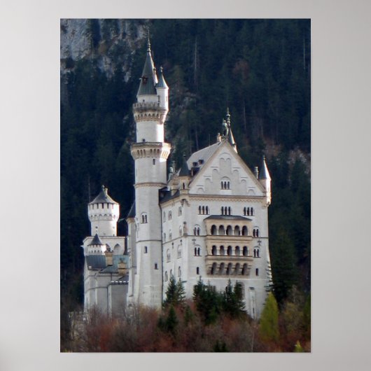 Schloss Neuschwanstein Poster (Vorne)