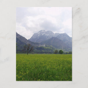 Schloss Neuschwanstein Postkarte
