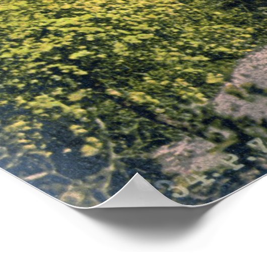 Schloss Nürnberg Poster (Ecke)