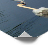 Schloss Nymphenburg Poster (Ecke)