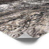 Schloss Poster (Ecke)