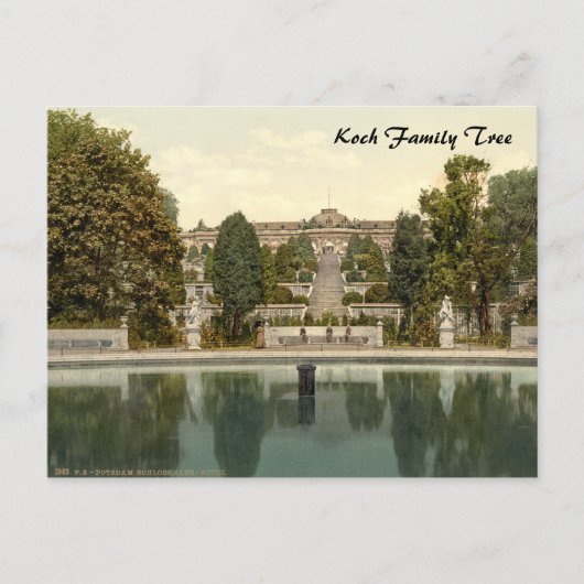 Schloss Sanssouci, Potsdam, Berlin, Deutschland Postkarte (Vorderseite)