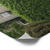 Schloss Schönheit Poster (Ecke)