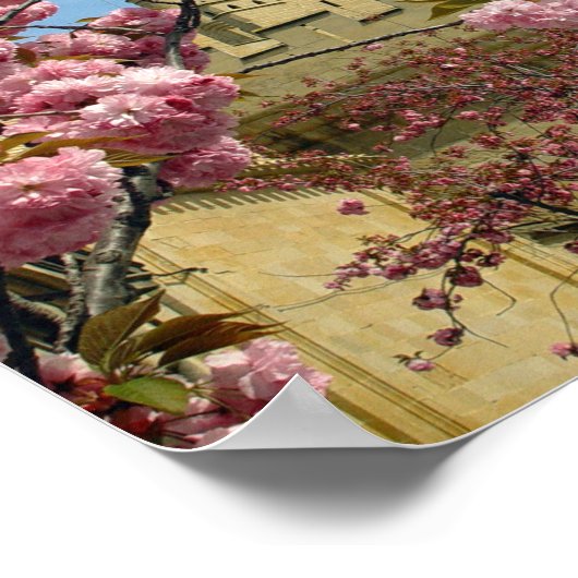 Schloss und Blume Poster (Ecke)