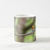 Schlucht Kaffeetasse (Mittel)