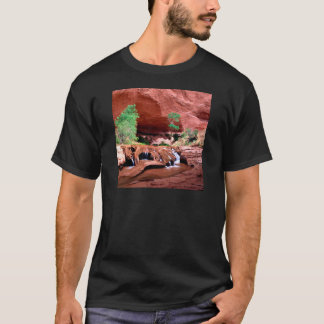 Schlucht-KojoteGulch Escalante Riverutah T-Shirt
