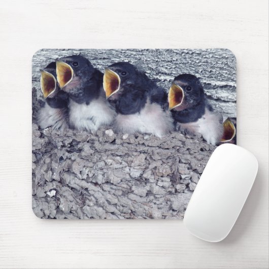 Schlucht Mousepad (Mit Mouse)