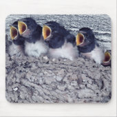 Schlucht Mousepad (Vorne)