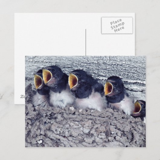 Schlucht Postkarte (Vorne/Hinten)