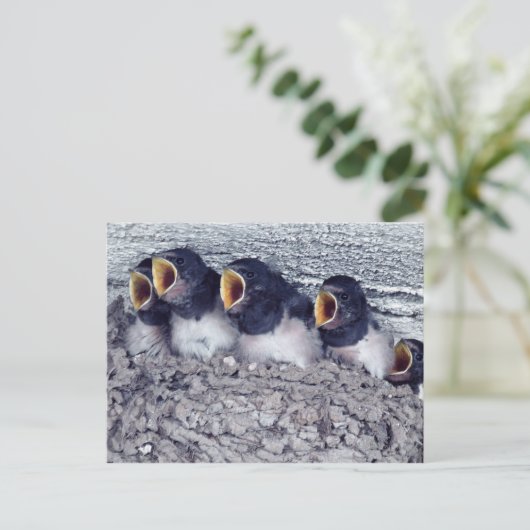 Schlucht Postkarte (Stehend Vorderseite)