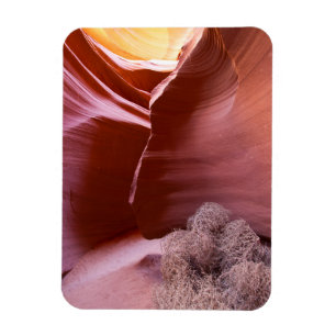 Schlucht vieler Farben Magnet