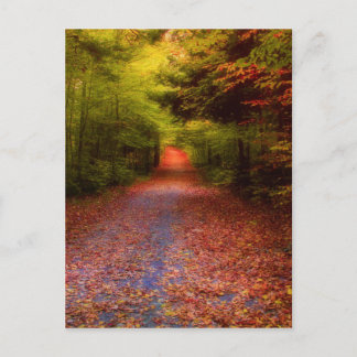 Schlucht-Wald Postkarte