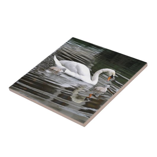 Schluchtschwäne mit Nestlingen auf Wasser Fliese (Seite)