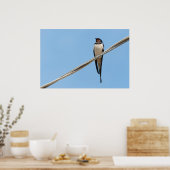 Schlucken auf Draht Poster (Küche)