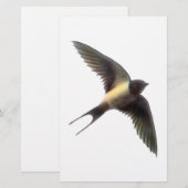 Schlucken Clear Briefpapier (Vorne/Hinten)