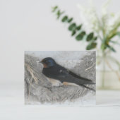 Schlucken im Stall Nest DIY Postkarte (Stehend Vorderseite)