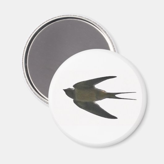 Schlucken Magnet (Vorderseite/Rückseite)