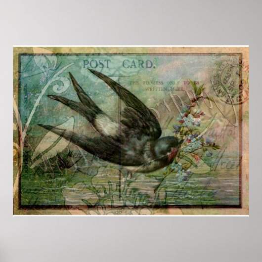 Schlucken mit Blume Poster (Vorne)