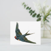 Schlucken Postkarte (Stehend Vorderseite)