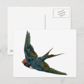 Schlucken Postkarte (Vorne/Hinten)
