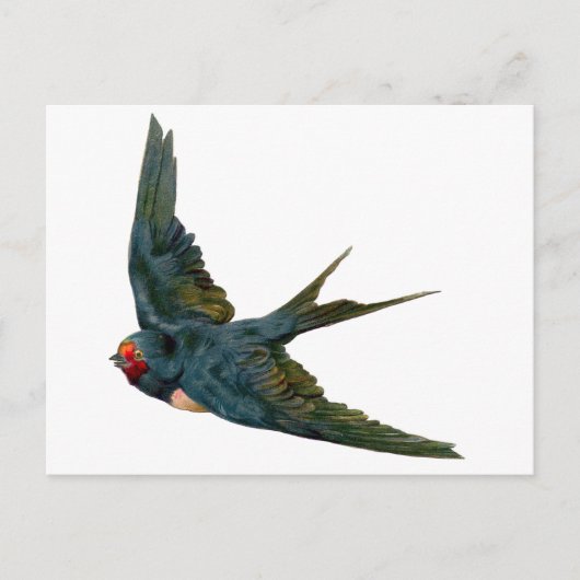 Schlucken Postkarte (Vorderseite)