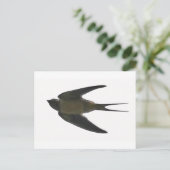 Schlucken Postkarte (Stehend Vorderseite)