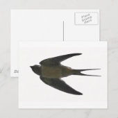 Schlucken Postkarte (Vorne/Hinten)