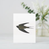 Schlucken Postkarte (Stehend Vorderseite)