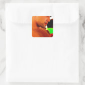 Schlucken Quadratischer Aufkleber (Tasche)