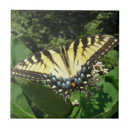 "Schlucken Schwanz Butterfly" Fliese