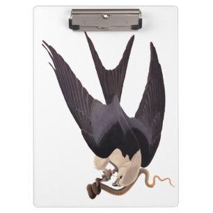 Schlucken Sie den Schwanz Hawk mit Snake Vintag Au Klemmbrett