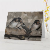 Schlucken Sie die Flechtlinge, die auf einem Zweig Karte (Gelbe Blume)