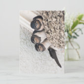 Schlucken Sie die Nestlein im Nest Einladung (Stehend Vorderseite)