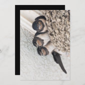 Schlucken Sie die Nestlein im Nest Einladung (Vorne/Hinten)