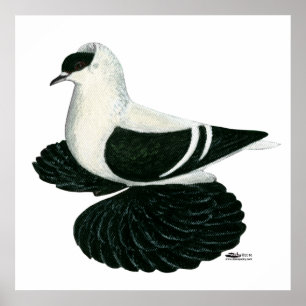 Schlucken Sie die Taube Sachsen Schwarz-weiß Bar Poster