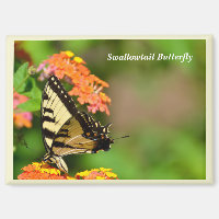 Schlucken Sie Schwanz Schmetterling am Gartenmagne