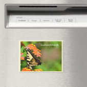 Schlucken Sie Schwanz Schmetterling am Gartenmagne Magnet (In Situ (Geschirrspüler))