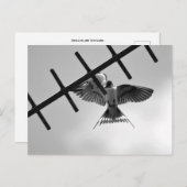 Schlucken und Flecken Postkarte (Vorne/Hinten)